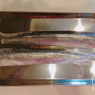 秋刀魚の簡単内臓処理＆長持ち保存方法